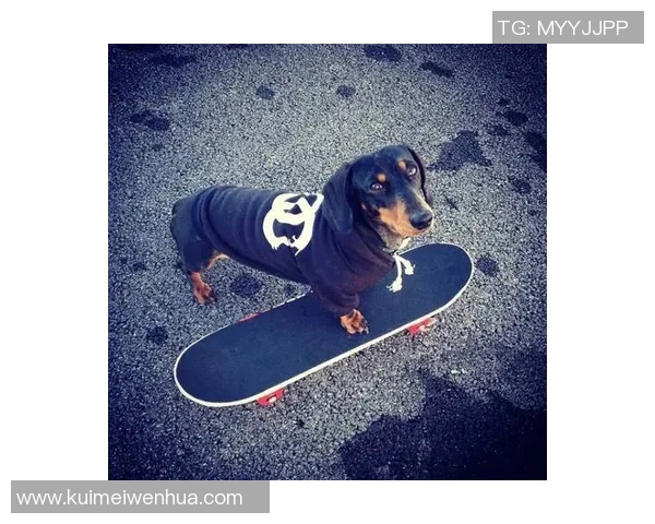 西安滑板队整体压制现象分析及其对滑板文化的影响探讨